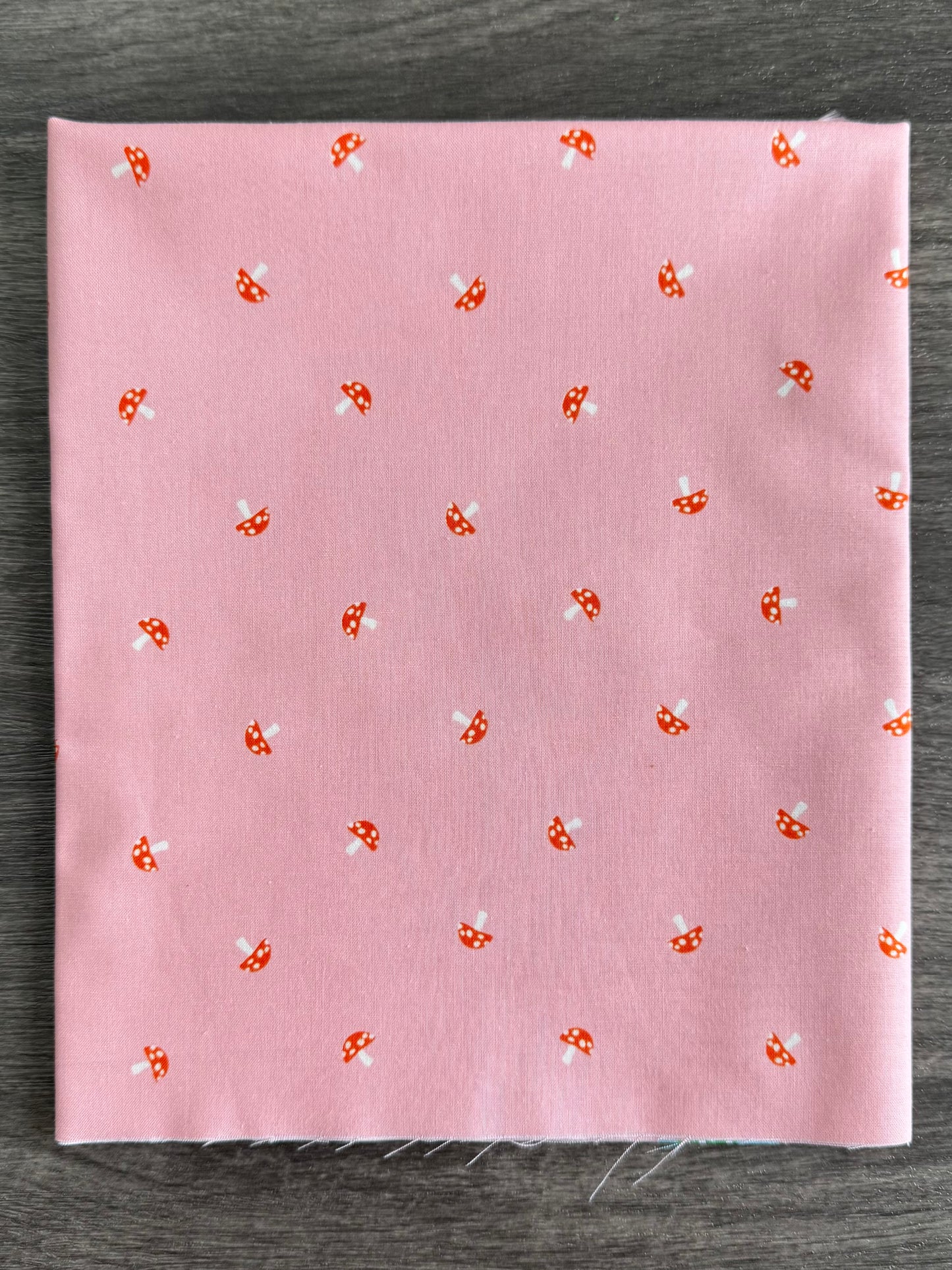 Carousel | by Melody Miller | Ruby Star Society | Curated Half Yard Bundle