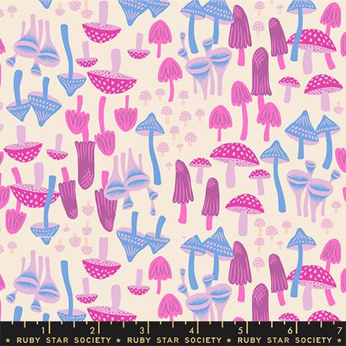 Hello Alice 28pc SHOP-CUT Fat Quarter Bundle : by Sarah Watts for Ruby Star Society