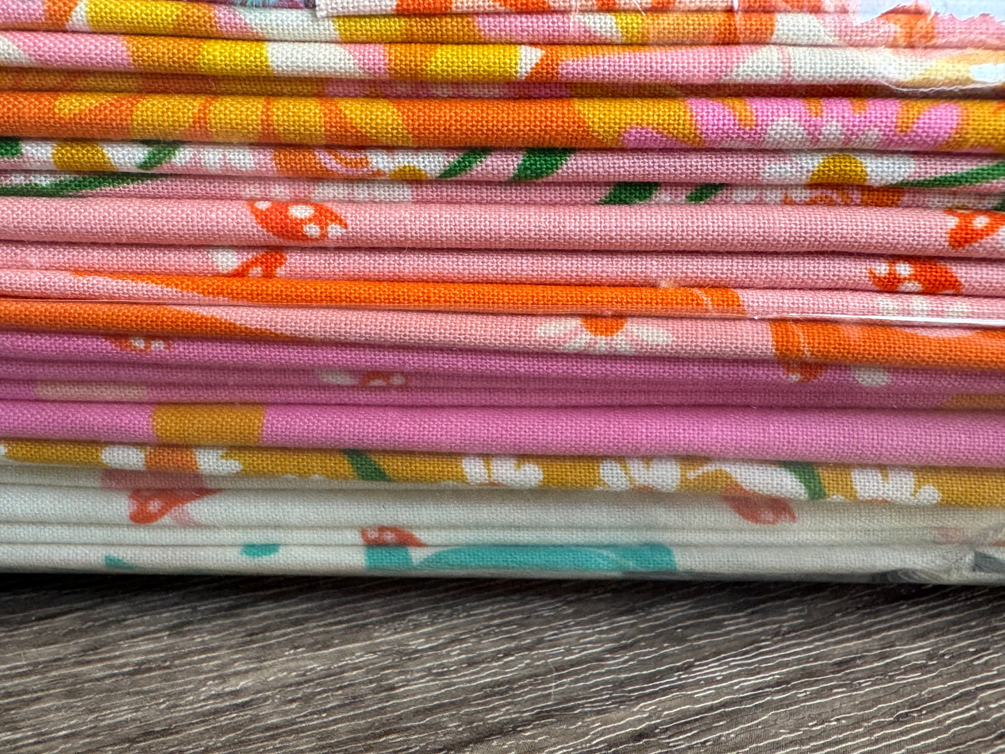 Carousel | by Melody Miller | Ruby Star Society | Curated Half Yard Bundle