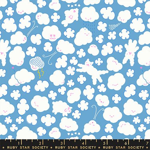 Float Cloudy Ripple RS1144 16 | Rashida Coleman Hale
