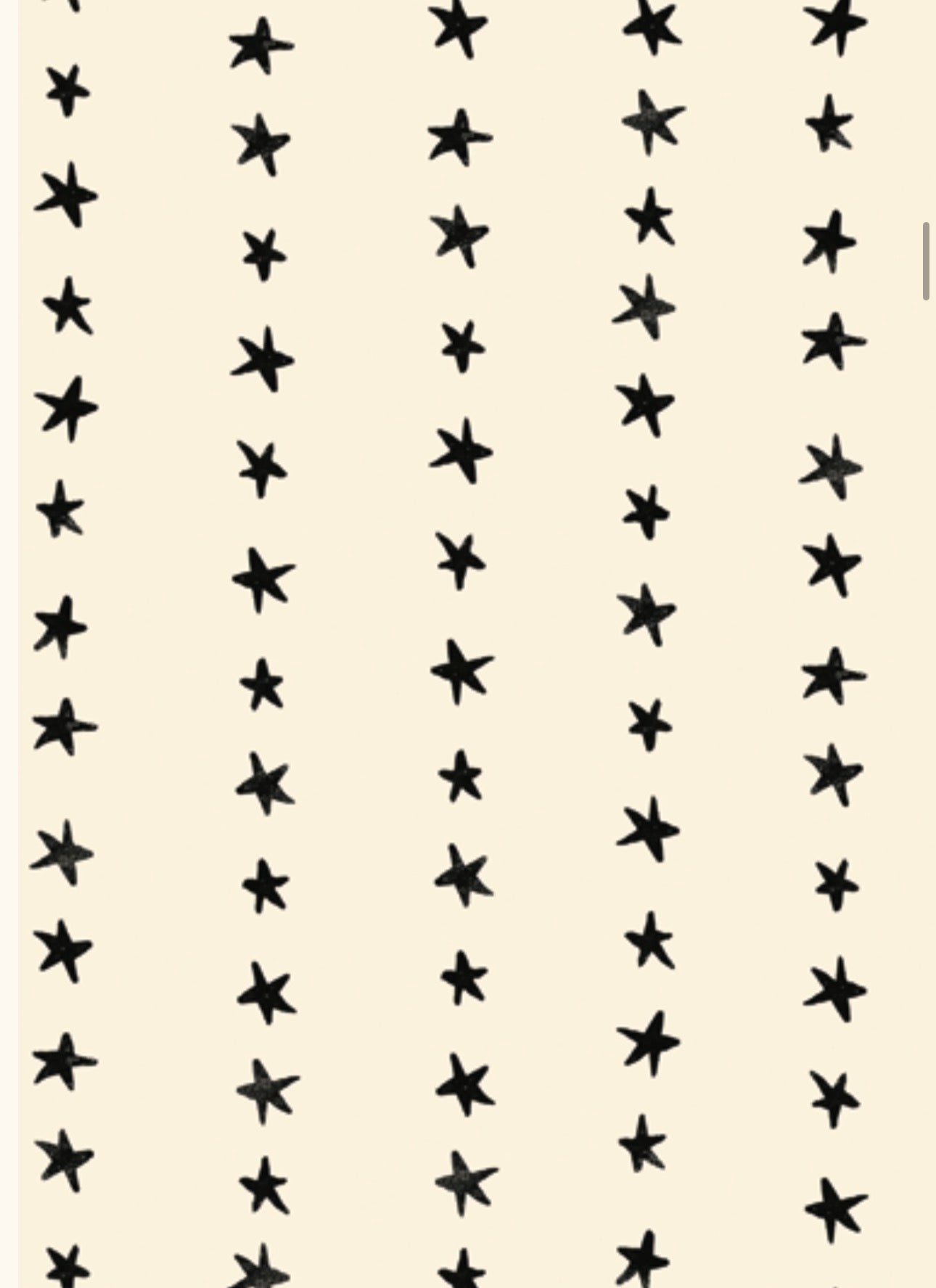 Daisy Days by Alexia Abegg for Ruby Star Society RS4175 12 | expected arrival April 2027