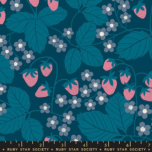 Reimagined Landscapes | Galaxy RS6054 16 | by Jen Hewett | Ruby Star Society