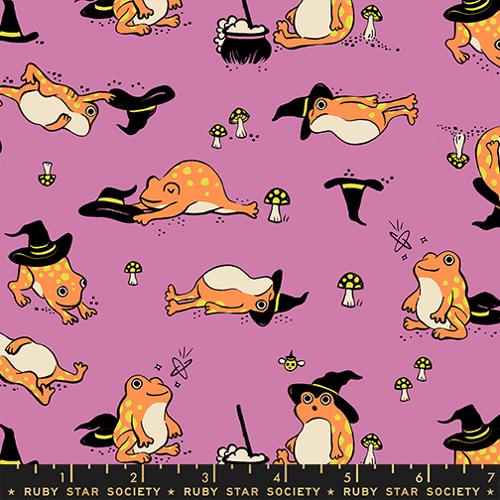 Freaky Familiars 24 piece One Yard Bundle | by Ruby Star Society | Expected to arrive June 2026