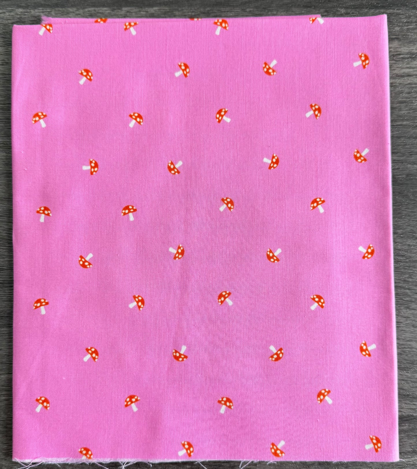Carousel | by Melody Miller | Ruby Star Society | Curated Half Yard Bundle