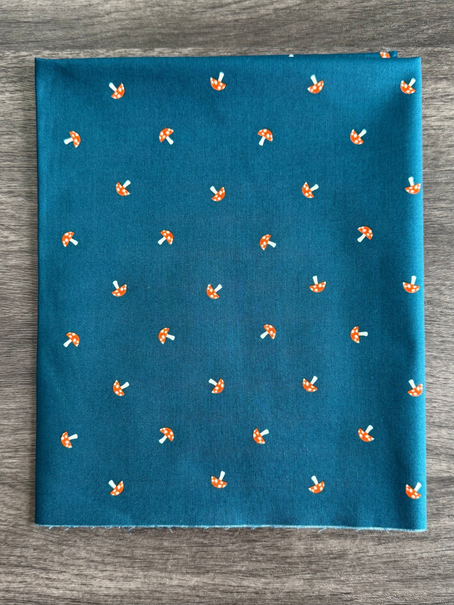 Carousel | by Melody Miller | Ruby Star Society | Curated Half Yard Bundle