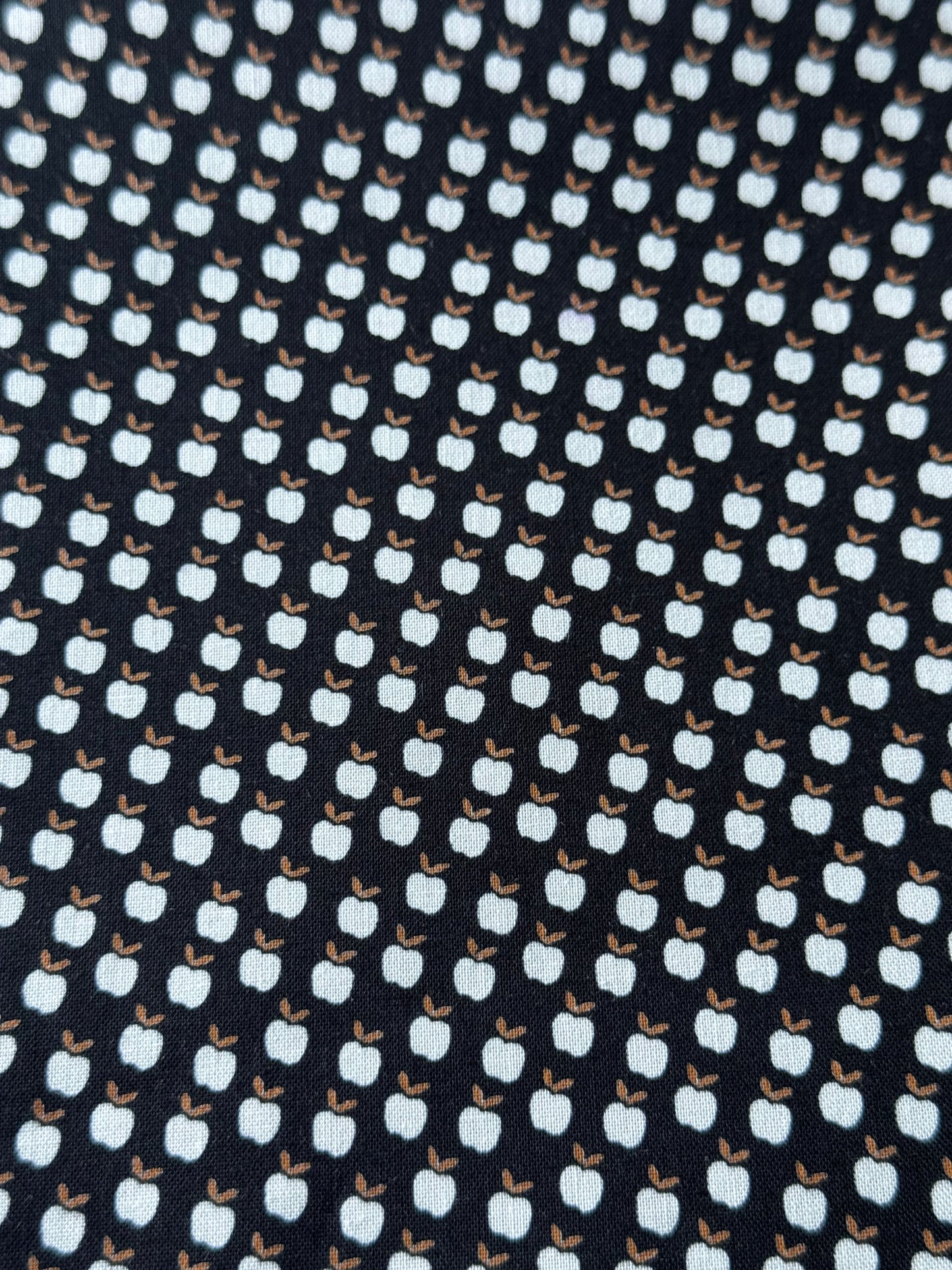 Catnap | Black | by Alexia Marcelle Abegg for Ruby Star Society