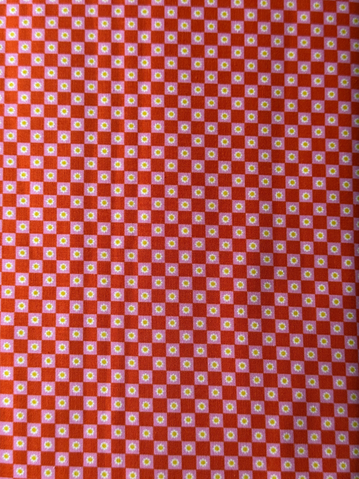 Animal Animal | Goldfish | Ruby Star Society