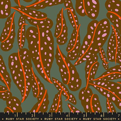 Calathea | Cocoa RS5187 12 |Ruby Star Society