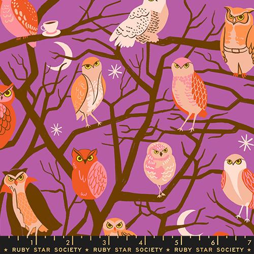 Freaky Familiars 24 piece One Yard Bundle | by Ruby Star Society | Expected to arrive June 2026
