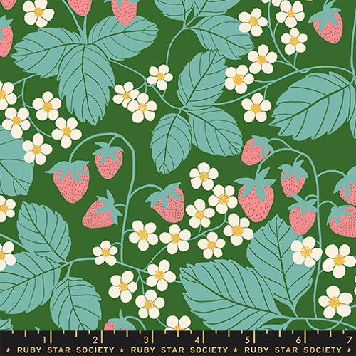 Reimagined Landscapes | End Green RS6054 15 | by Jen Hewett | Ruby Star Society