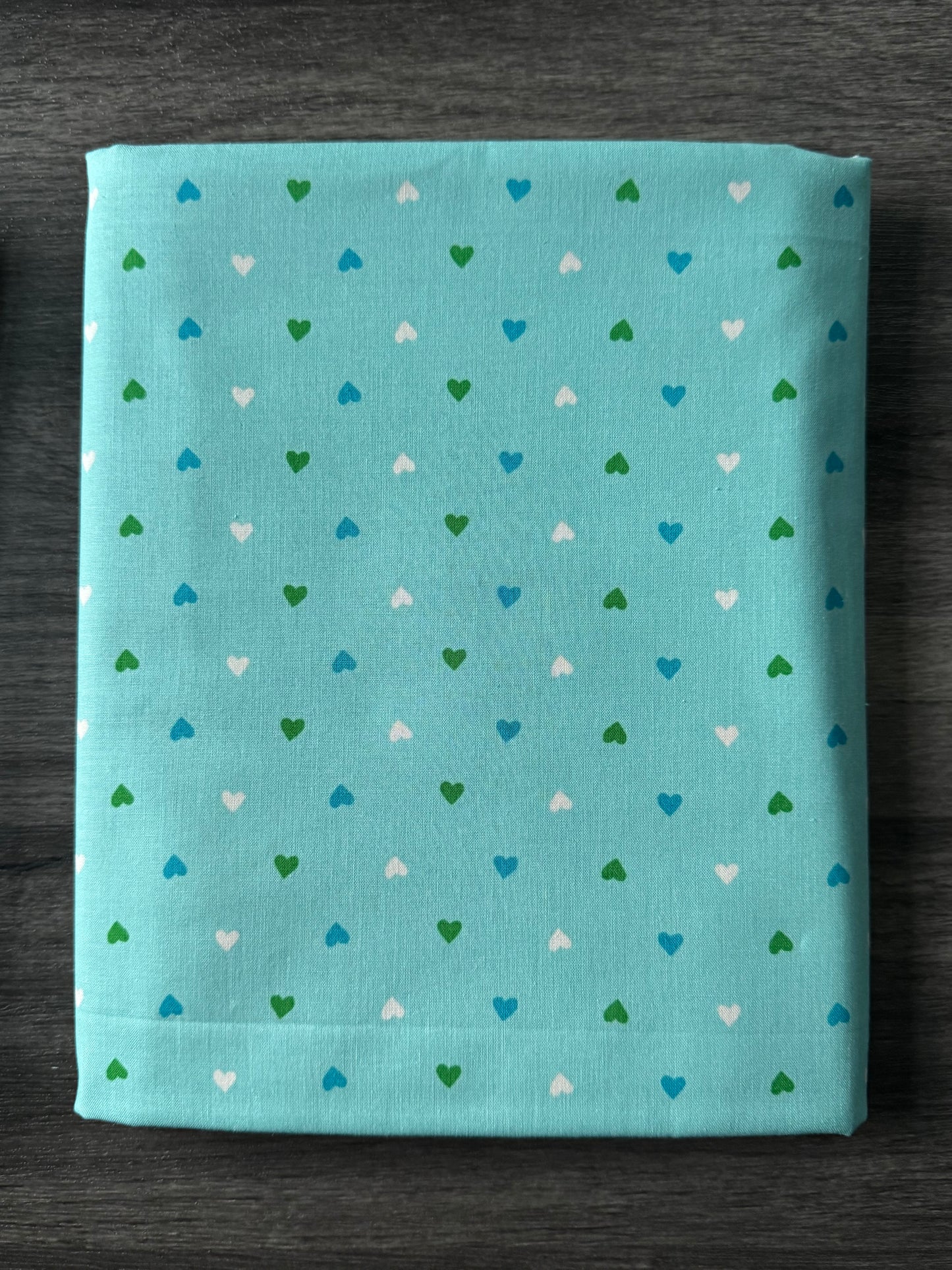 Best Day Ever Turquoise | by Melody Miller for Ruby Star Society