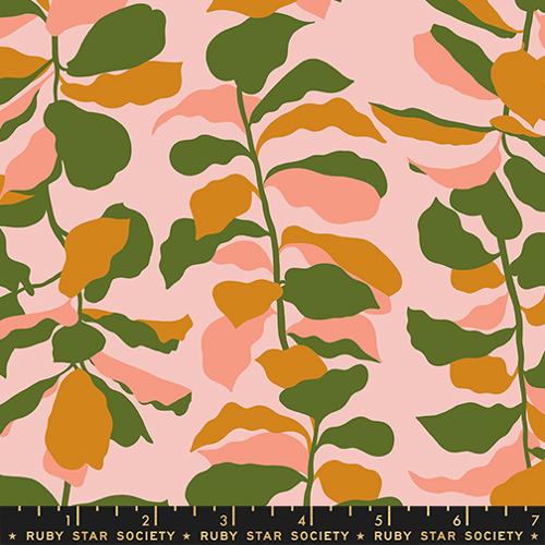 Calathea | Sweet Pink RS5186 11 |Ruby Star Society